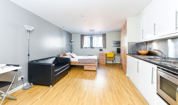 Lady Nicolson Court, Edinburgh image 2