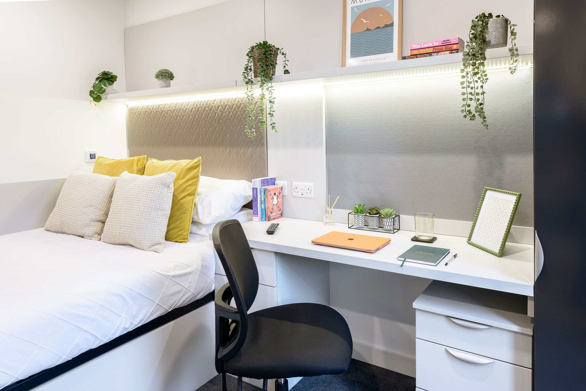 True Swansea image 3