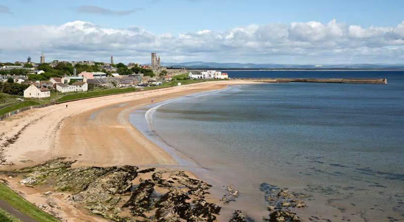 East Shore, St Andrews image 11