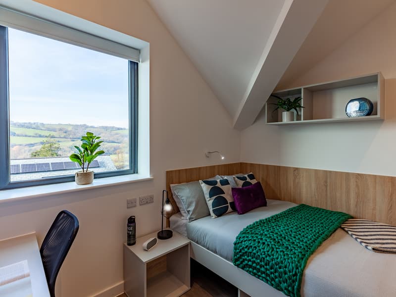 Hill View Place, Exeter image 3