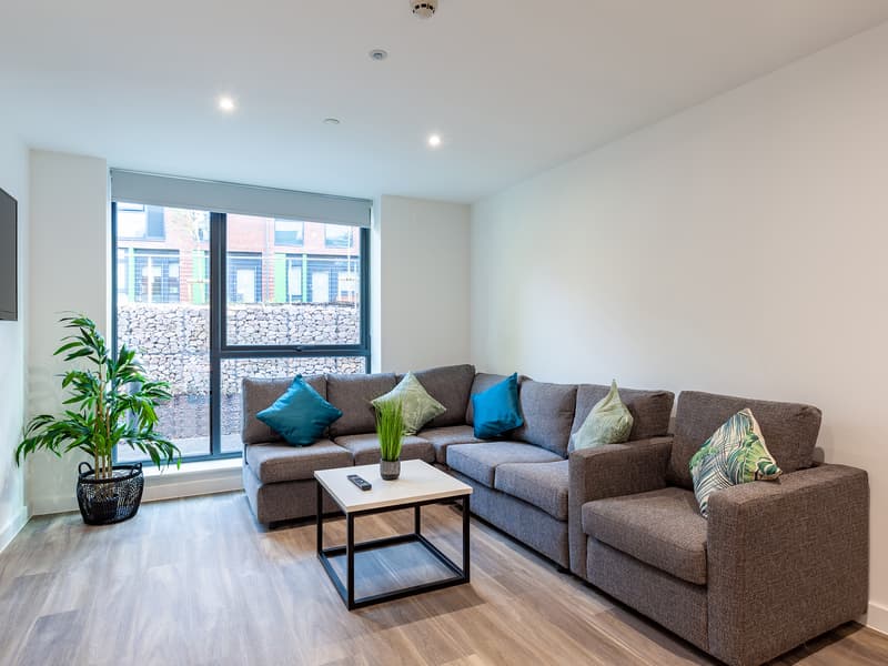 Hill View Place, Exeter image 17