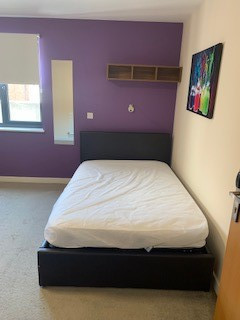 Premier Luxe En-Suite, Behn Hall