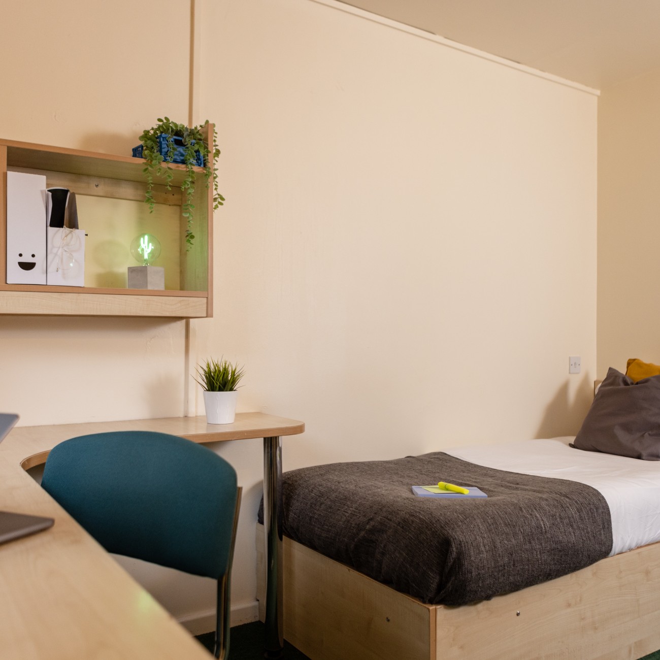 Standard Plus Room