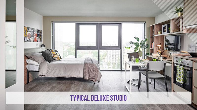 Deluxe Plus Studio