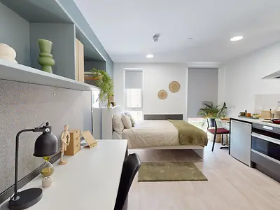 Luxury Studio