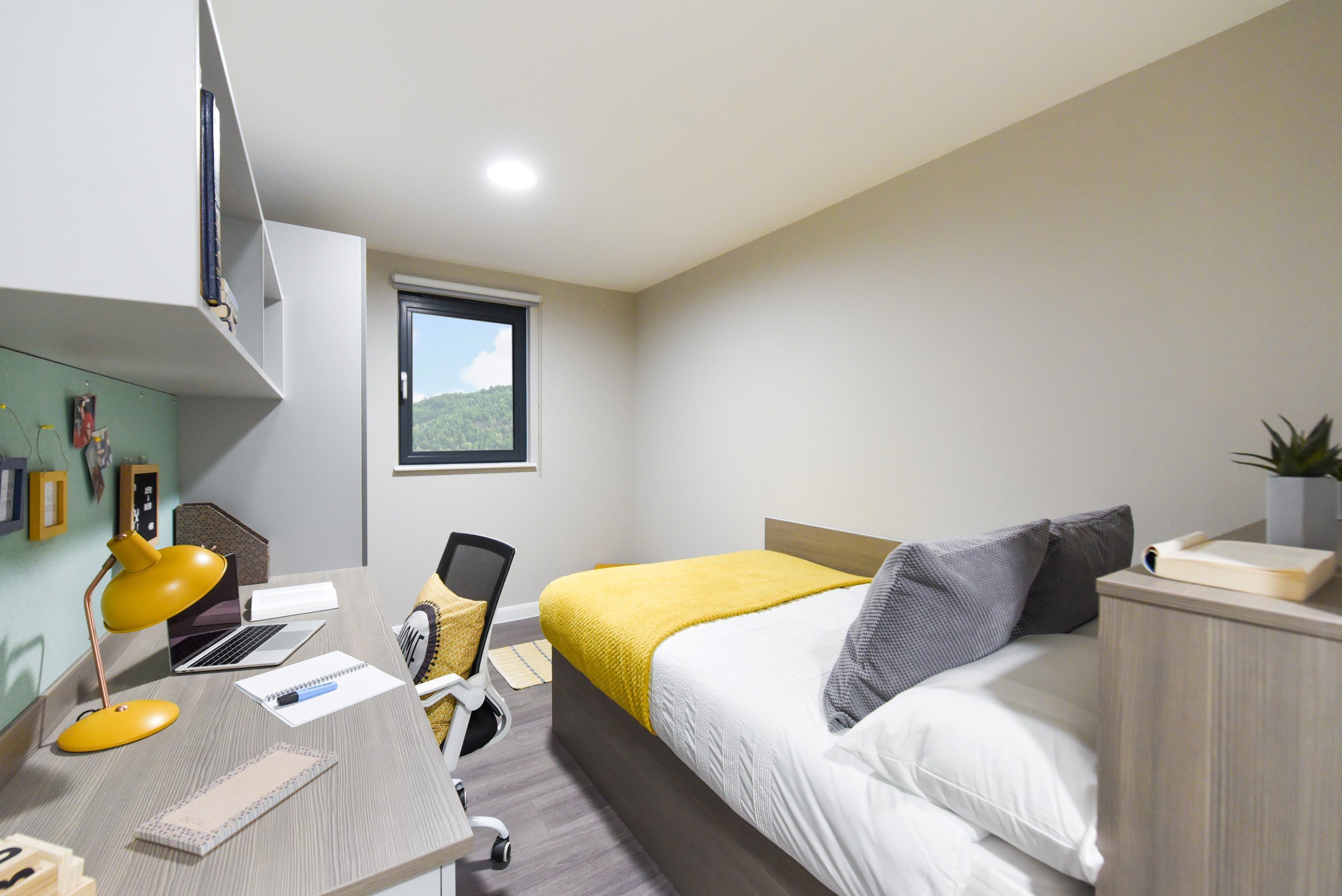 Ensuite Gold