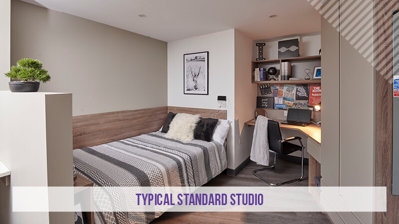 Standard Plus Studio